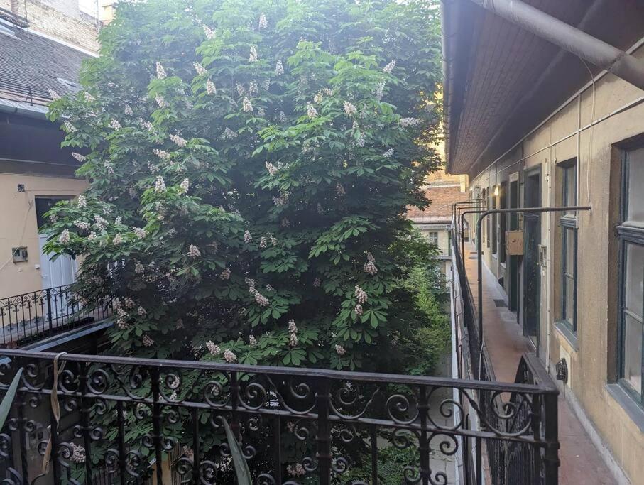 Gallery Flat In Party District Budapest Exterior photo